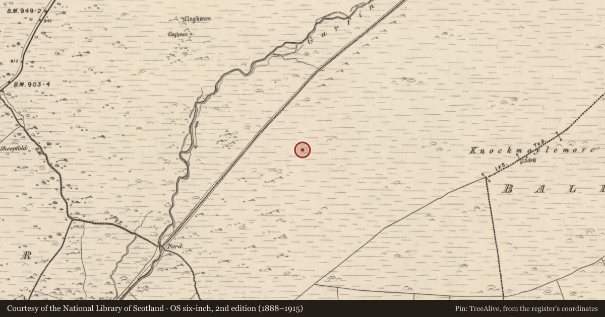Ordnance Survey six-inch map, 2nd edition (1888–1915) covering the location of Hut site, Baile Ristín, County Kerry, with a pin at the register's coordinates