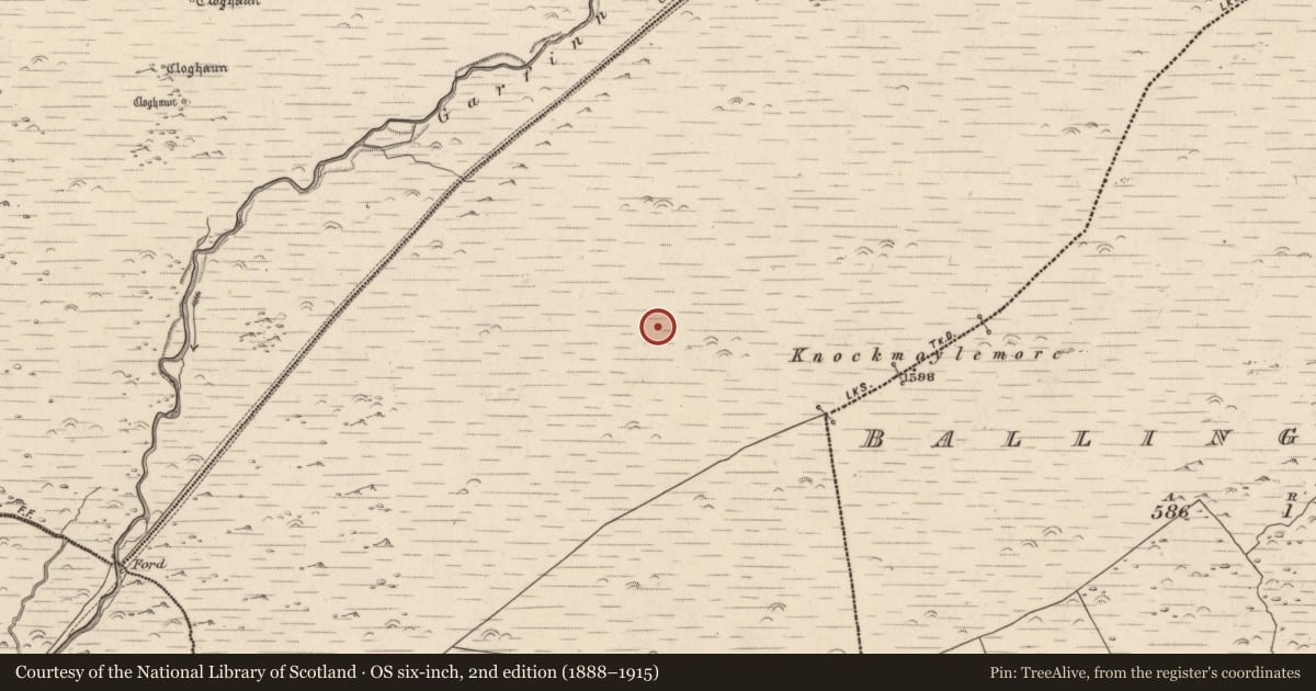 Ordnance Survey six-inch map, 2nd edition (1888–1915) covering the location of Hut site, Baile Ristín, County Kerry, with a pin at the register's coordinates