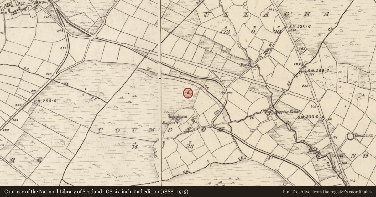 Ordnance Survey six-inch map, 2nd edition (1888–1915) covering the location of Barrow - ring-barrow, Com Ga, County Kerry, with a pin at the register's coordinates