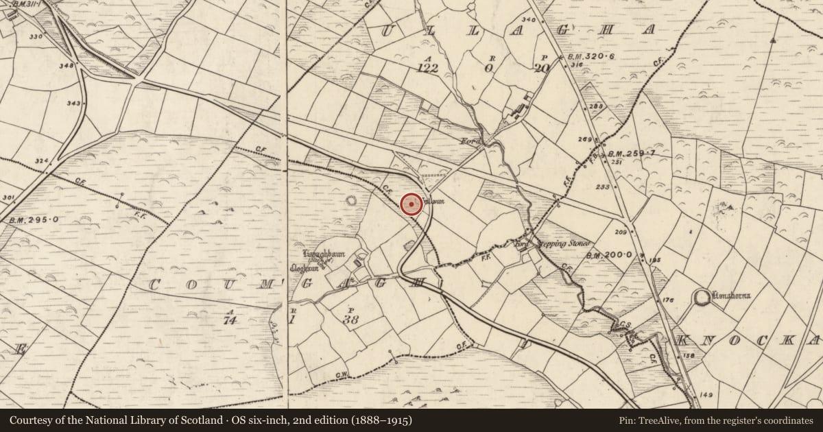 Ordnance Survey six-inch map, 2nd edition (1888–1915) covering the location of Standing stone, Ulacha, County Kerry, with a pin at the register's coordinates