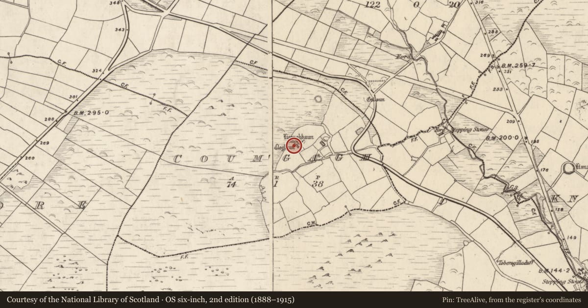 Ordnance Survey six-inch map, 2nd edition (1888–1915) covering the location of Clochan, Com Ga, County Kerry, with a pin at the register's coordinates