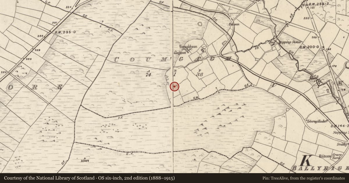 Ordnance Survey six-inch map, 2nd edition (1888–1915) covering the location of Souterrain, Com Ga, County Kerry, with a pin at the register's coordinates