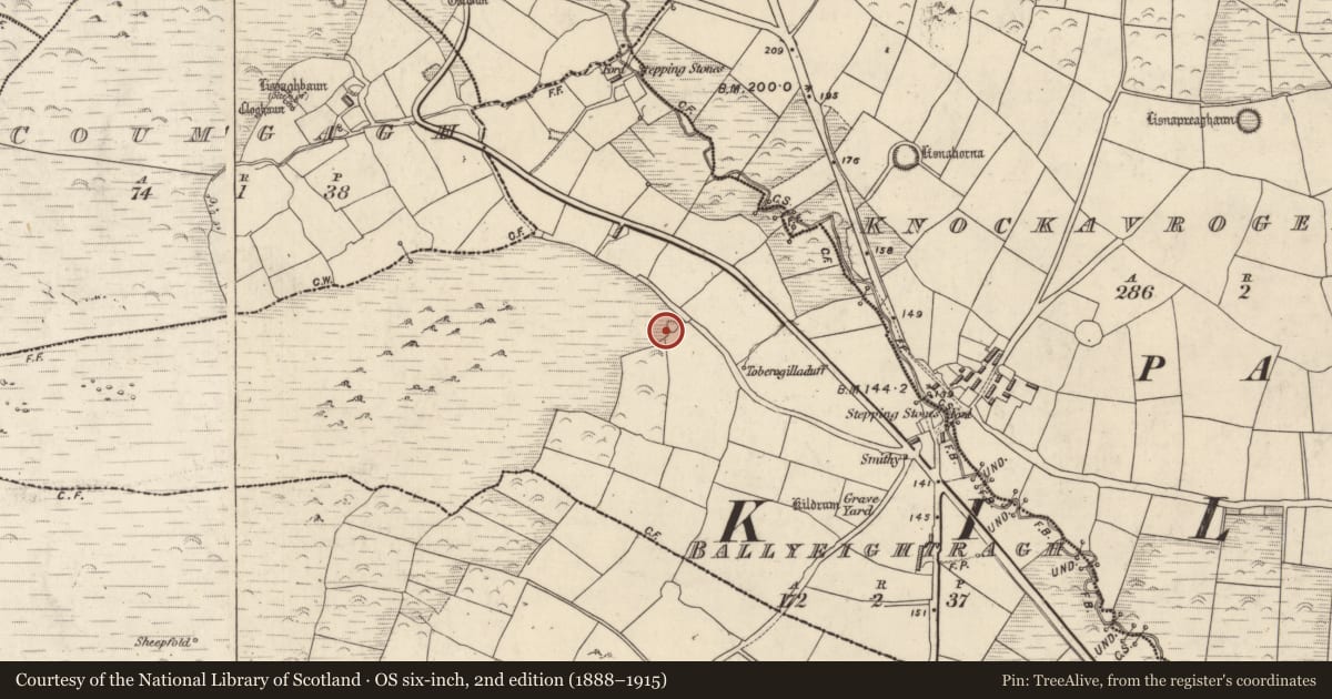 Ordnance Survey six-inch map, 2nd edition (1888–1915) covering the location of Barrow - ring-barrow, An Baile Íochtarach (Par. Cill Dromann), County Kerry, with a pin at the register's coordinates