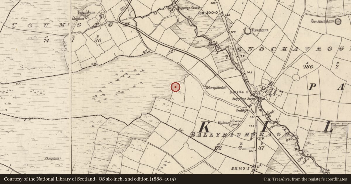 Ordnance Survey six-inch map, 2nd edition (1888–1915) covering the location of Standing stone, An Baile Íochtarach (Par. Cill Dromann), County Kerry, with a pin at the register's coordinates