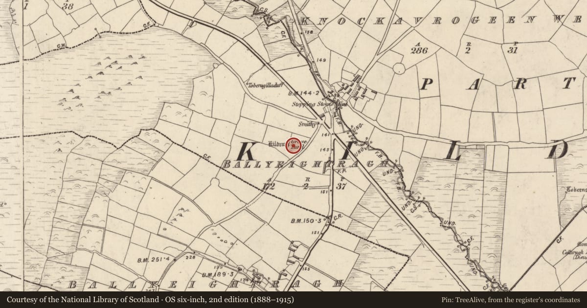 Ordnance Survey six-inch map, 2nd edition (1888–1915) covering the location of Cross - Tau cross, An Baile Íochtarach (Par. Cill Dromann), County Kerry, with a pin at the register's coordinates