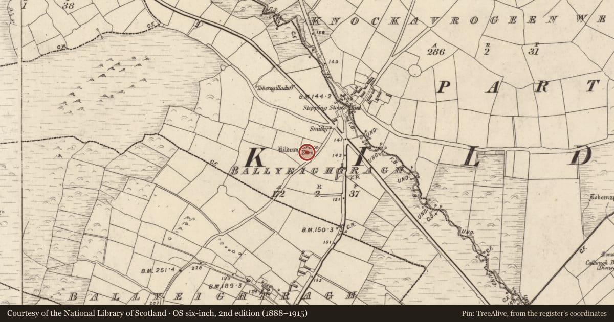 Ordnance Survey six-inch map, 2nd edition (1888–1915) covering the location of Holed stone, An Baile Íochtarach (Par. Cill Dromann), County Kerry, with a pin at the register's coordinates