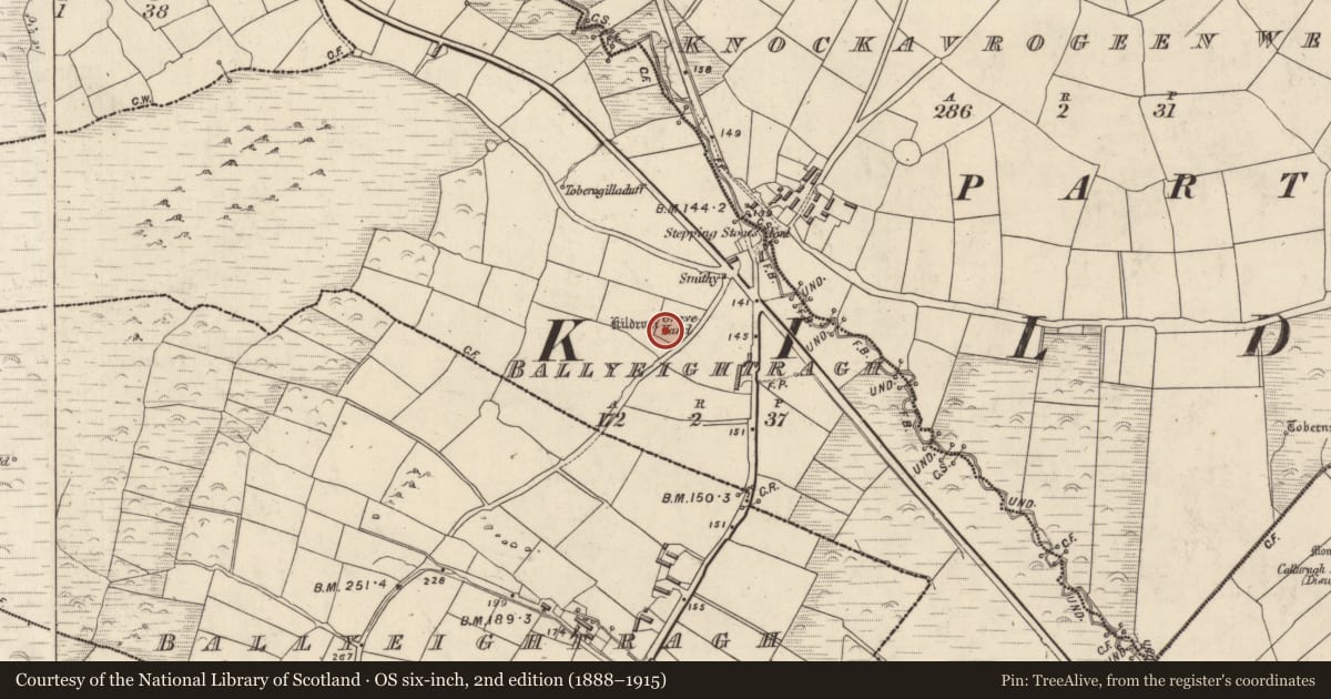 Ordnance Survey six-inch map, 2nd edition (1888–1915) covering the location of Cross, An Baile Íochtarach (Par. Cill Dromann), County Kerry, with a pin at the register's coordinates