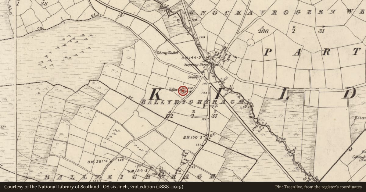 Ordnance Survey six-inch map, 2nd edition (1888–1915) covering the location of Cross-inscribed stone, An Baile Íochtarach (Par. Cill Dromann), County Kerry, with a pin at the register's coordinates