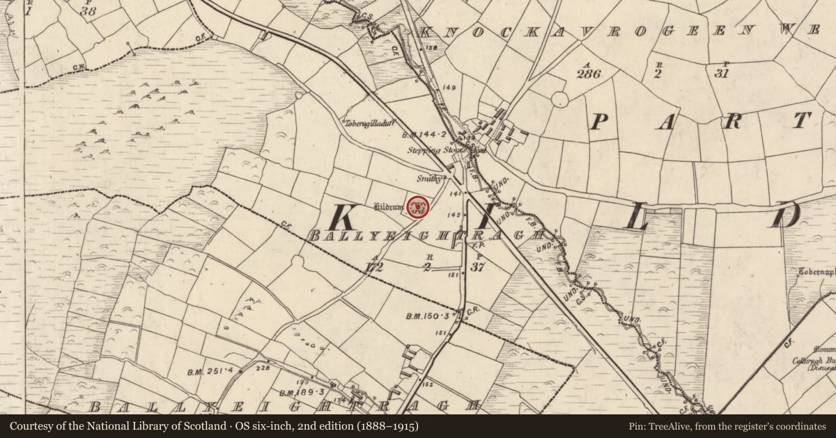 Ordnance Survey six-inch map, 2nd edition (1888–1915) covering the location of Cross-inscribed stone, An Baile Íochtarach (Par. Cill Dromann), County Kerry, with a pin at the register's coordinates
