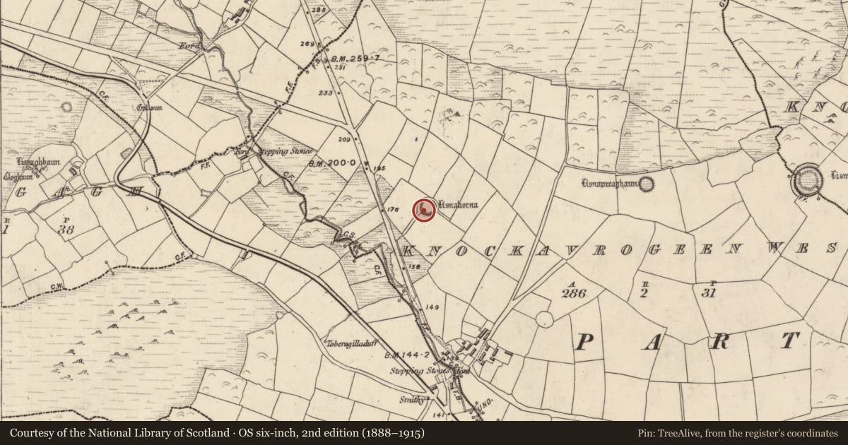 Ordnance Survey six-inch map, 2nd edition (1888–1915) covering the location of Ringfort - rath, Cnoc An Bhróigín Thiar, County Kerry, with a pin at the register's coordinates