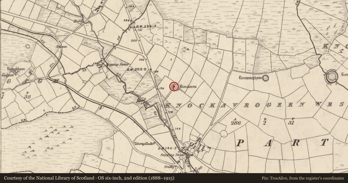 Ordnance Survey six-inch map, 2nd edition (1888–1915) covering the location of Souterrain, Cnoc An Bhróigín Thiar, County Kerry, with a pin at the register's coordinates
