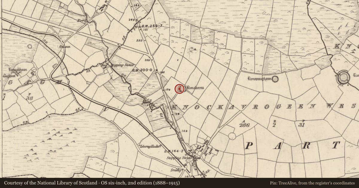 Ordnance Survey six-inch map, 2nd edition (1888–1915) covering the location of Hut site, Cnoc An Bhróigín Thiar, County Kerry, with a pin at the register's coordinates