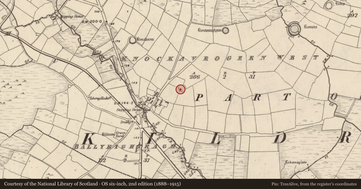 Ordnance Survey six-inch map, 2nd edition (1888–1915) covering the location of Ringfort - rath, Cnoc An Bhróigín Thiar, County Kerry, with a pin at the register's coordinates