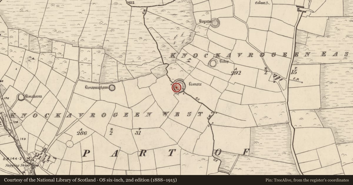 Ordnance Survey six-inch map, 2nd edition (1888–1915) covering the location of Hut site, Cnoc An Bhróigín Thiar, Cnoc An Bhróigín Thoir, County Kerry, with a pin at the register's coordinates