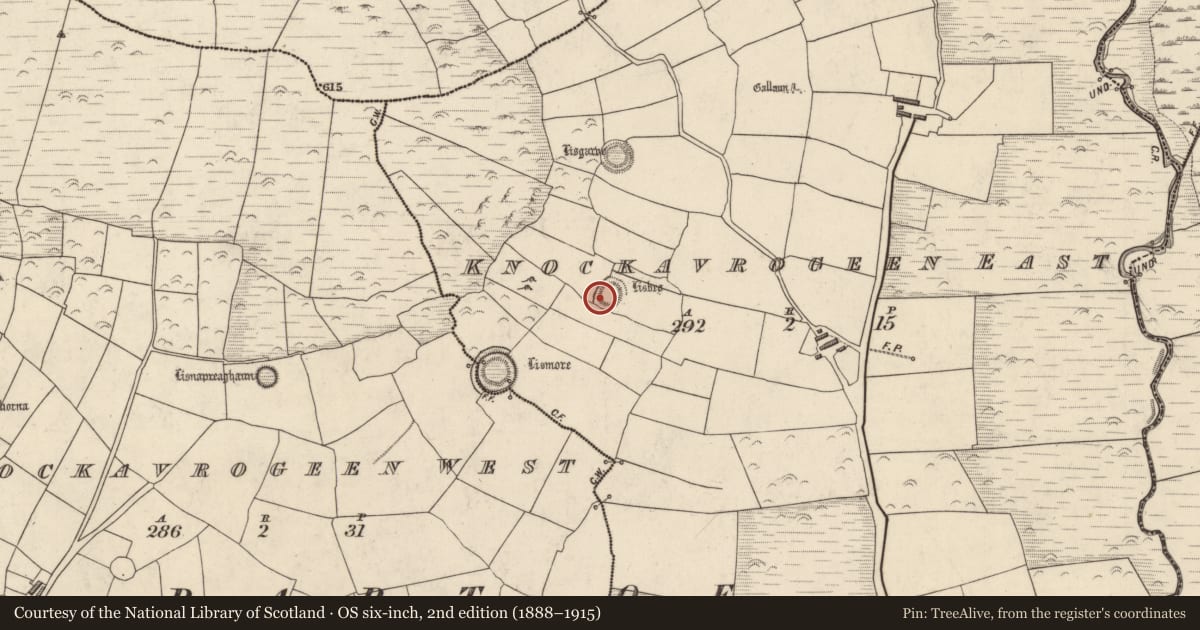 Ordnance Survey six-inch map, 2nd edition (1888–1915) covering the location of Ringfort - rath, Cnoc An Bhróigín Thoir, County Kerry, with a pin at the register's coordinates