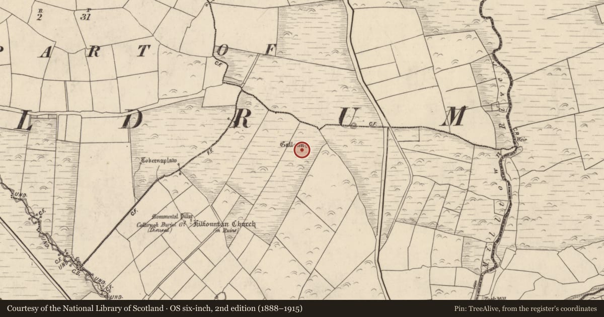 Ordnance Survey six-inch map, 2nd edition (1888–1915) covering the location of Standing stone, Cill Fhiontain, County Kerry, with a pin at the register's coordinates
