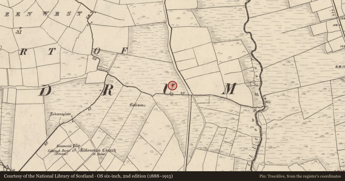 Ordnance Survey six-inch map, 2nd edition (1888–1915) covering the location of Field boundary, Cnoc An Bhróigín Thoir, County Kerry, with a pin at the register's coordinates
