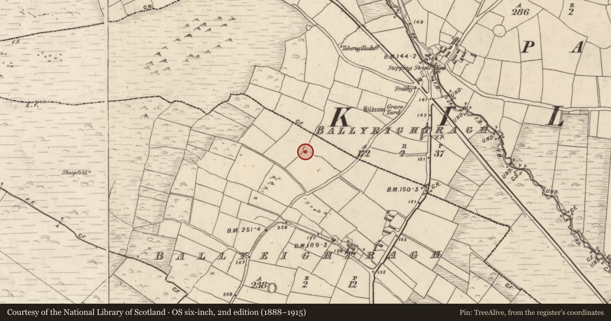 Ordnance Survey six-inch map, 2nd edition (1888–1915) covering the location of Ringfort - rath, An Baile Íochtarach (Par. Cill Dromann), County Kerry, with a pin at the register's coordinates