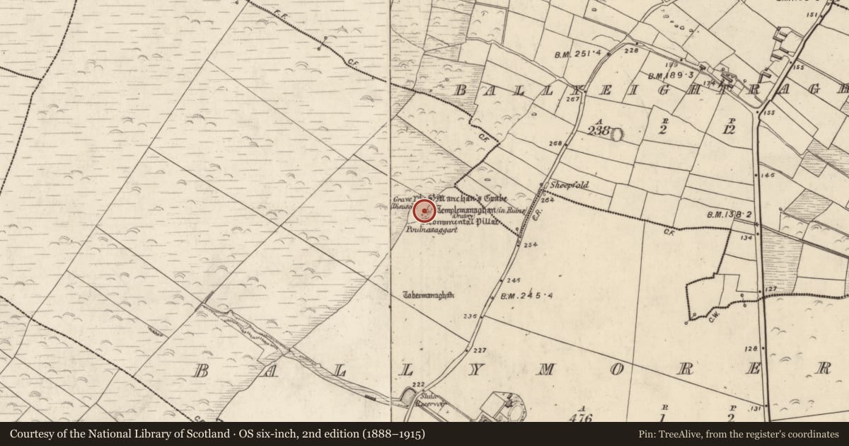 Ordnance Survey six-inch map, 2nd edition (1888–1915) covering the location of Church, An Baile Riabhach, County Kerry, with a pin at the register's coordinates