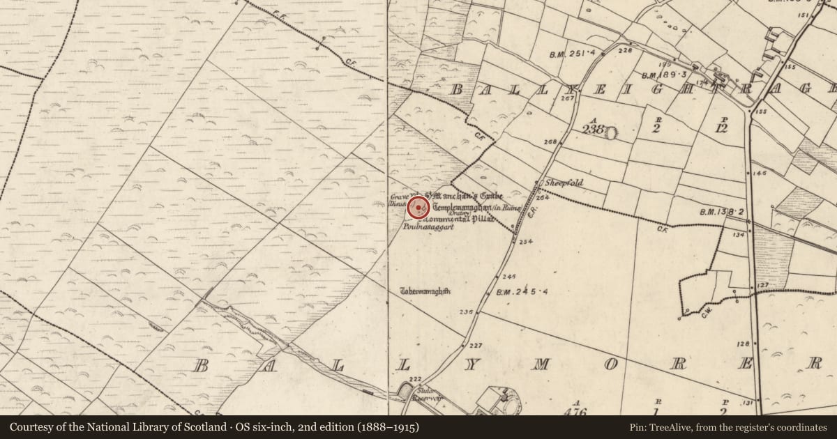 Ordnance Survey six-inch map, 2nd edition (1888–1915) covering the location of Cross-inscribed stone, An Baile Riabhach, County Kerry, with a pin at the register's coordinates