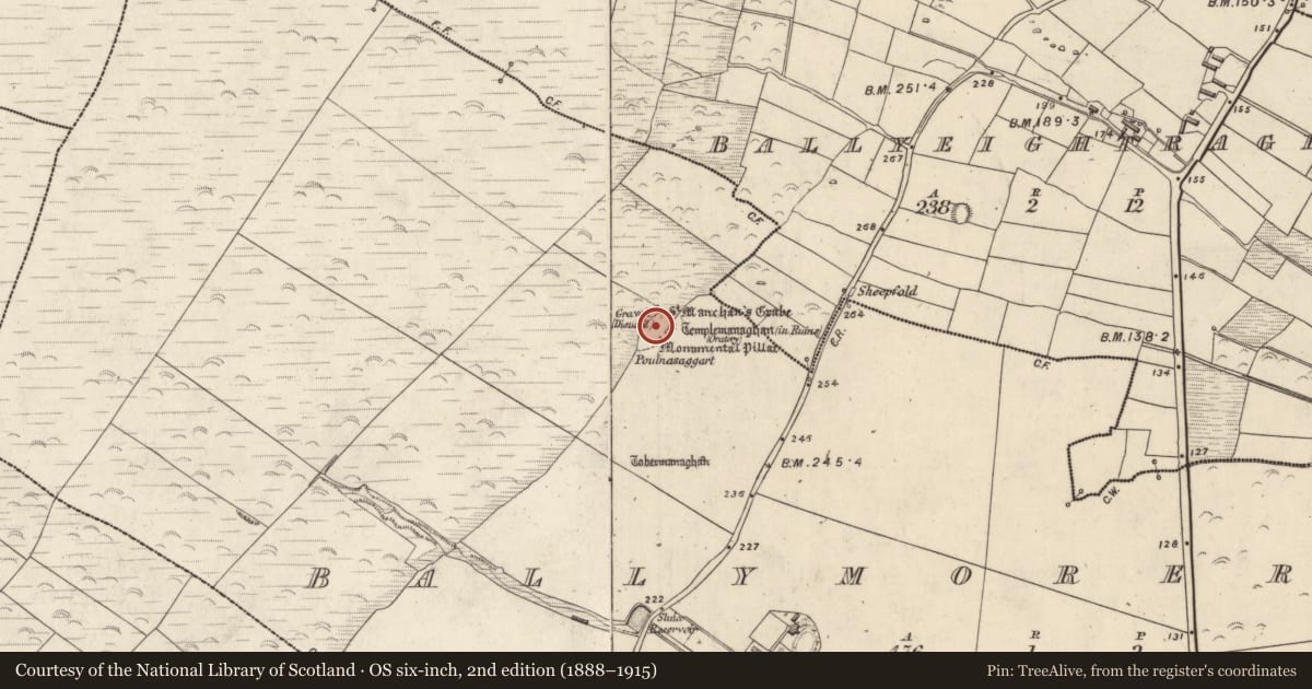 Ordnance Survey six-inch map, 2nd edition (1888–1915) covering the location of Cross-slab, An Baile Riabhach, County Kerry, with a pin at the register's coordinates