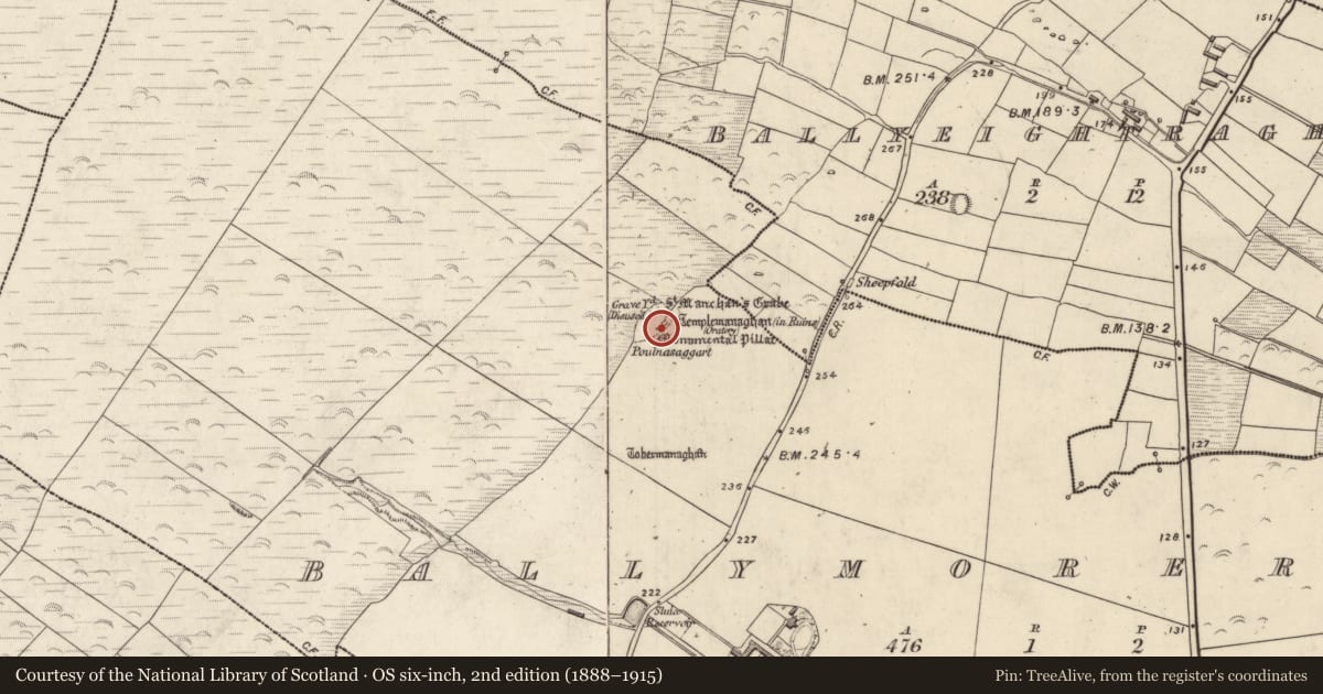 Ordnance Survey six-inch map, 2nd edition (1888–1915) covering the location of Architectural fragment, An Baile Riabhach, County Kerry, with a pin at the register's coordinates