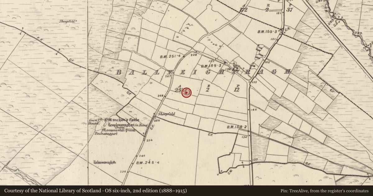 Ordnance Survey six-inch map, 2nd edition (1888–1915) covering the location of Enclosure, An Baile Íochtarach (Par. Cill Dromann), County Kerry, with a pin at the register's coordinates
