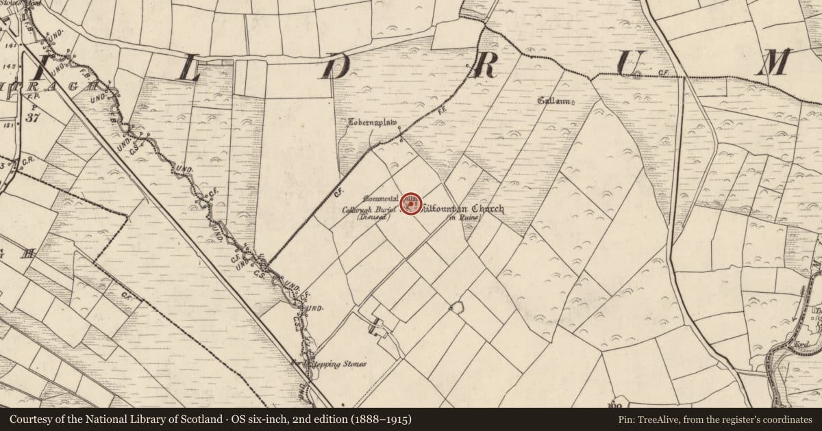 Ordnance Survey six-inch map, 2nd edition (1888–1915) covering the location of Church, Cill Fhiontain, County Kerry, with a pin at the register's coordinates