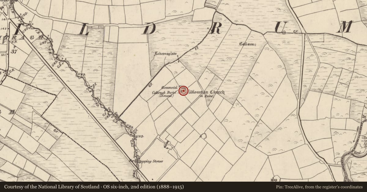 Ordnance Survey six-inch map, 2nd edition (1888–1915) covering the location of Ogham stone, Cill Fhiontain, County Kerry, with a pin at the register's coordinates
