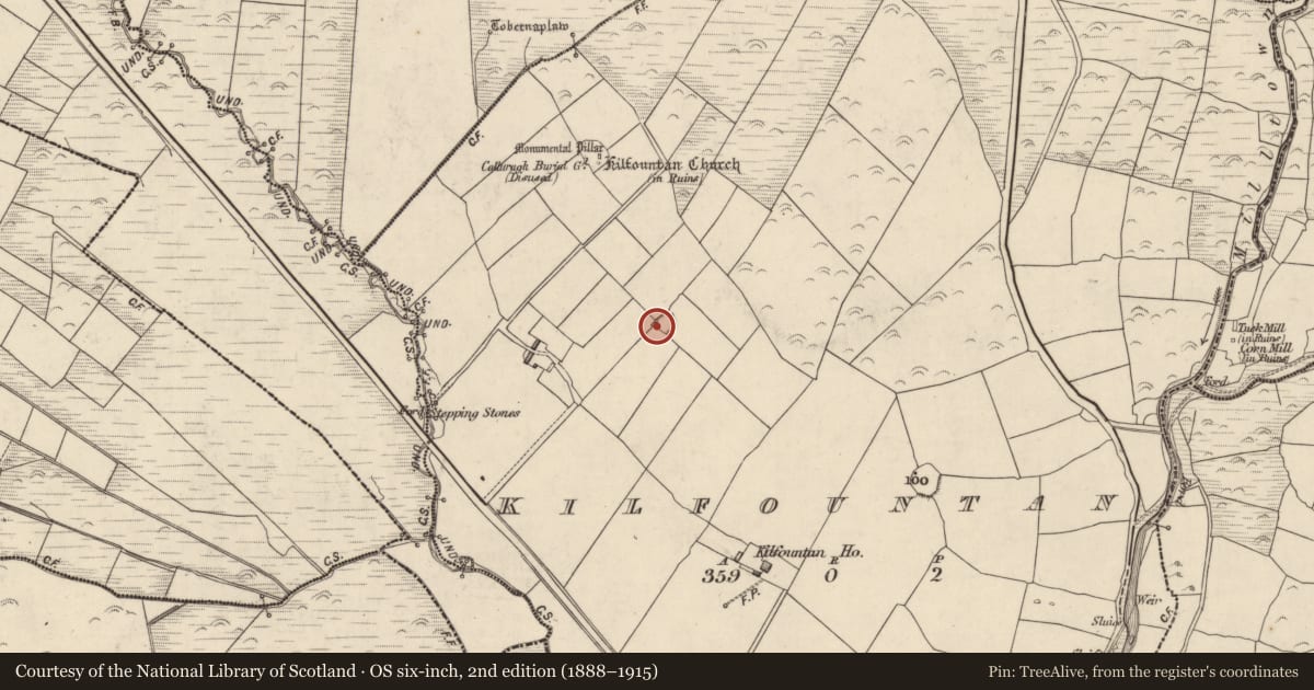 Ordnance Survey six-inch map, 2nd edition (1888–1915) covering the location of Ringfort - rath, Cill Fhiontain, County Kerry, with a pin at the register's coordinates