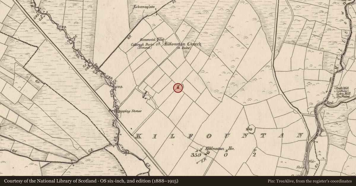 Ordnance Survey six-inch map, 2nd edition (1888–1915) covering the location of Souterrain, Cill Fhiontain, County Kerry, with a pin at the register's coordinates