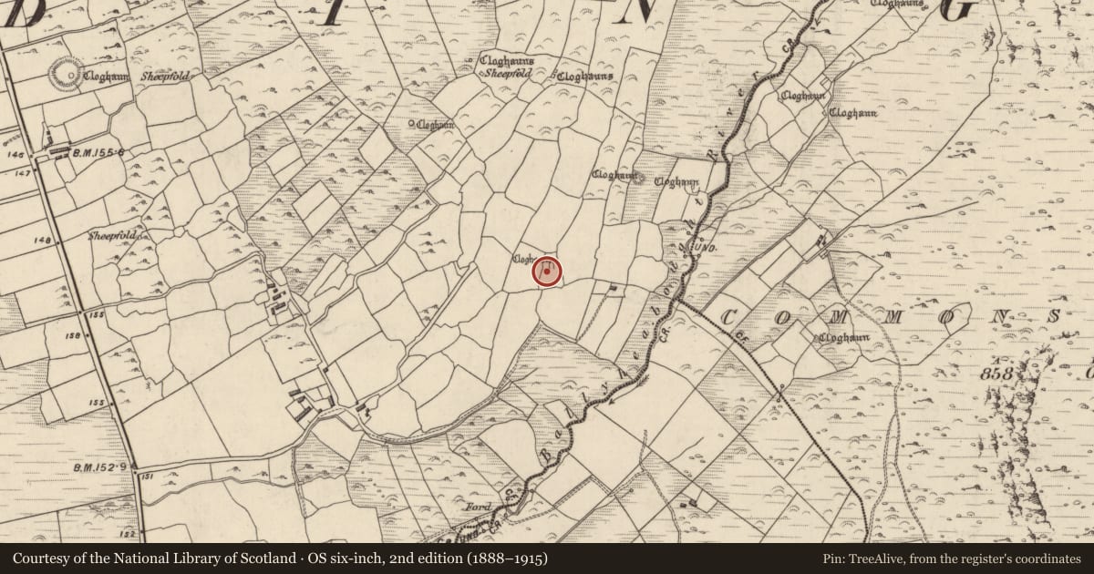 Ordnance Survey six-inch map, 2nd edition (1888–1915) covering the location of Hut site, Baile Uí Shé, County Kerry, with a pin at the register's coordinates
