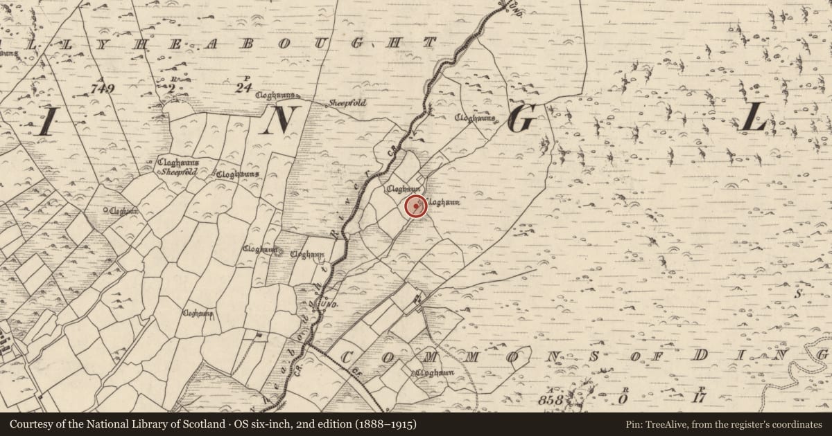 Ordnance Survey six-inch map, 2nd edition (1888–1915) covering the location of Hut site, Coimín An Daingin, County Kerry, with a pin at the register's coordinates