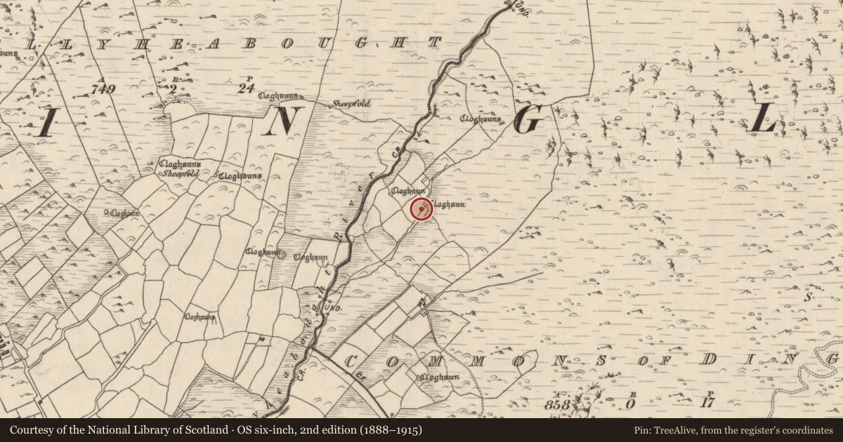 Ordnance Survey six-inch map, 2nd edition (1888–1915) covering the location of Hut site, Coimín An Daingin, County Kerry, with a pin at the register's coordinates