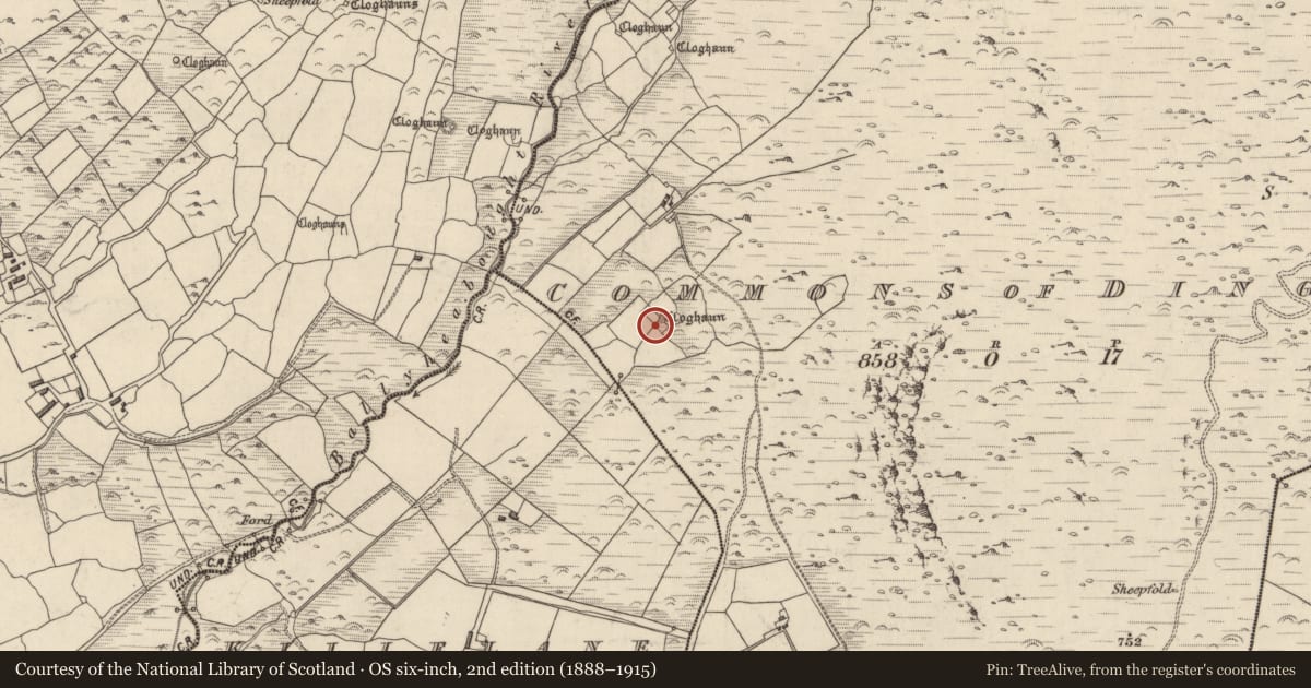 Ordnance Survey six-inch map, 2nd edition (1888–1915) covering the location of Hut site, Coimín An Daingin, County Kerry, with a pin at the register's coordinates