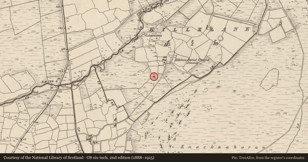 Ordnance Survey six-inch map, 2nd edition (1888–1915) covering the location of Hut site, Cill Fhaoláin, County Kerry, with a pin at the register's coordinates