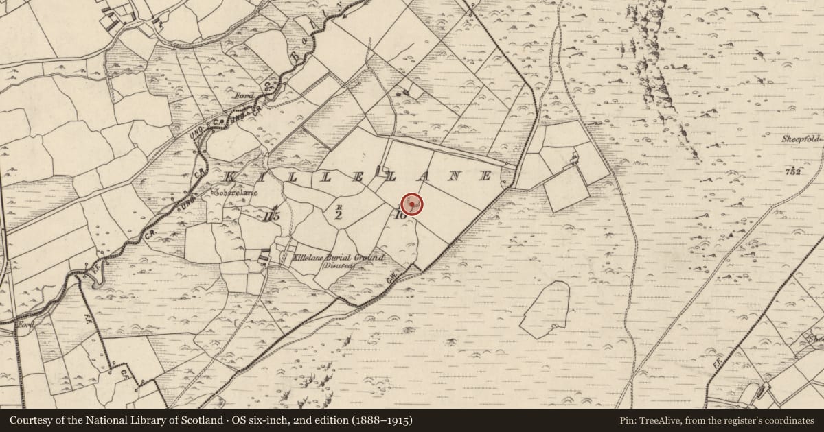 Ordnance Survey six-inch map, 2nd edition (1888–1915) covering the location of Ringfort - rath, Cill Fhaoláin, County Kerry, with a pin at the register's coordinates