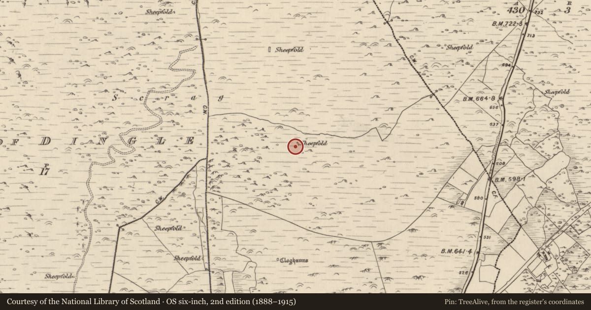 Ordnance Survey six-inch map, 2nd edition (1888–1915) covering the location of Hut site, Baile An Ásaigh, County Kerry, with a pin at the register's coordinates