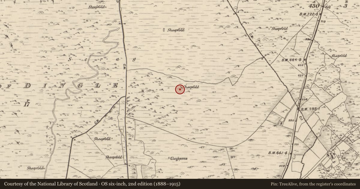 Ordnance Survey six-inch map, 2nd edition (1888–1915) covering the location of Hut site, Baile An Ásaigh, County Kerry, with a pin at the register's coordinates