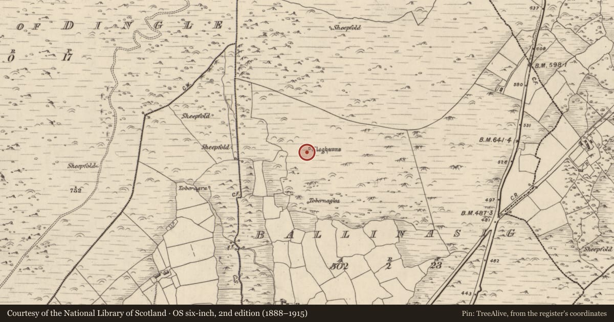 Ordnance Survey six-inch map, 2nd edition (1888–1915) covering the location of Hut site, Baile An Ásaigh, County Kerry, with a pin at the register's coordinates