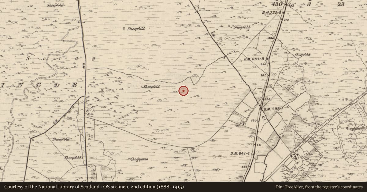 Ordnance Survey six-inch map, 2nd edition (1888–1915) covering the location of Hut site, Baile An Ásaigh, County Kerry, with a pin at the register's coordinates