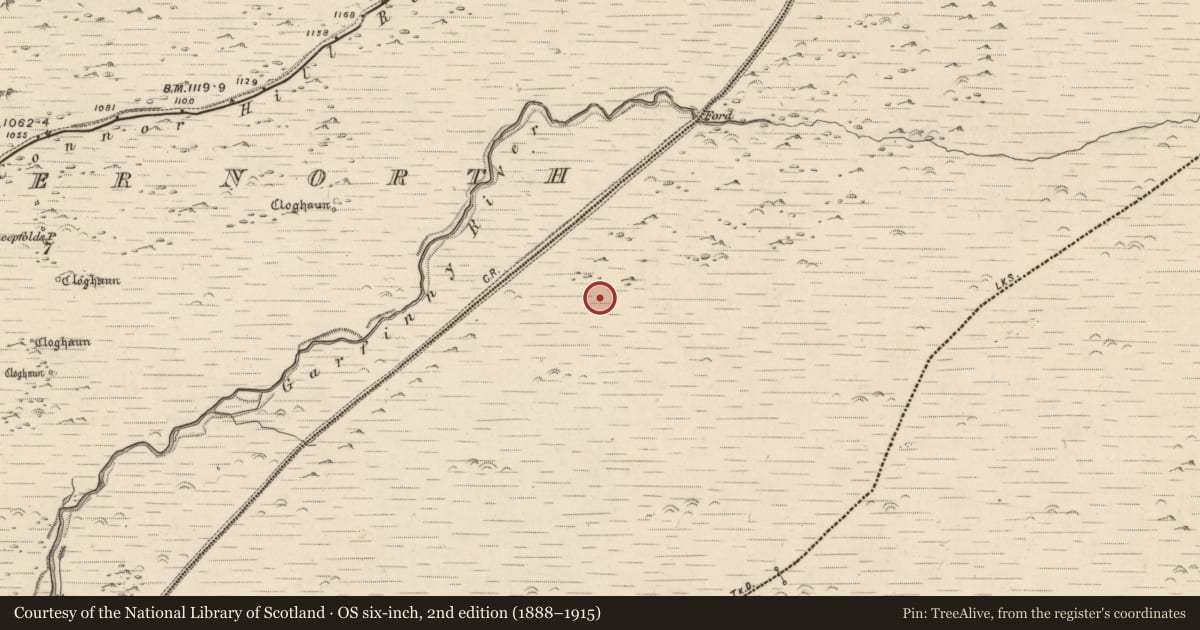 Ordnance Survey six-inch map, 2nd edition (1888–1915) covering the location of Clochan, Baile Ristín, County Kerry, with a pin at the register's coordinates