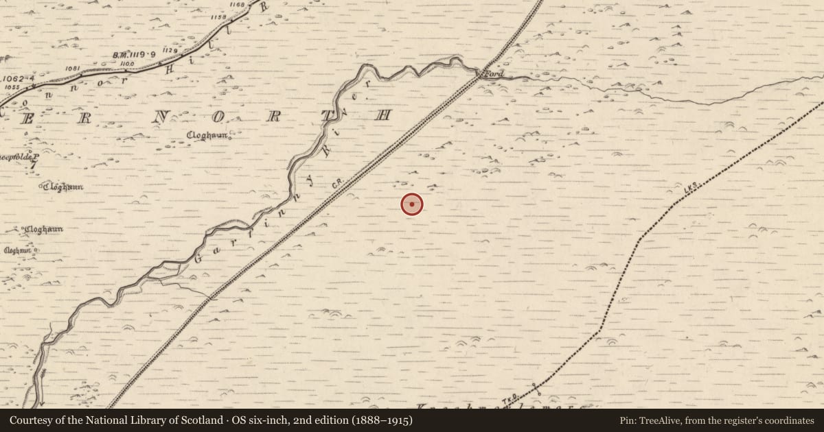 Ordnance Survey six-inch map, 2nd edition (1888–1915) covering the location of Clochan, Baile Ristín, County Kerry, with a pin at the register's coordinates