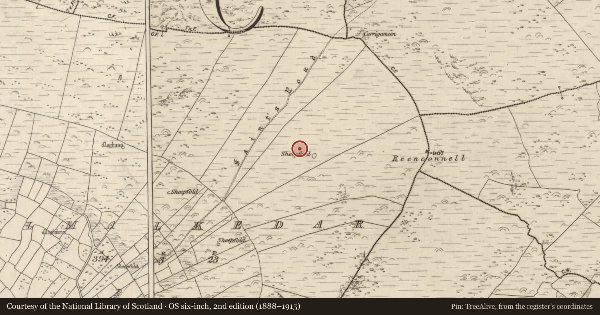 Ordnance Survey six-inch map, 2nd edition (1888–1915) covering the location of Hut site, Cill Maoilchéadair, County Kerry, with a pin at the register's coordinates