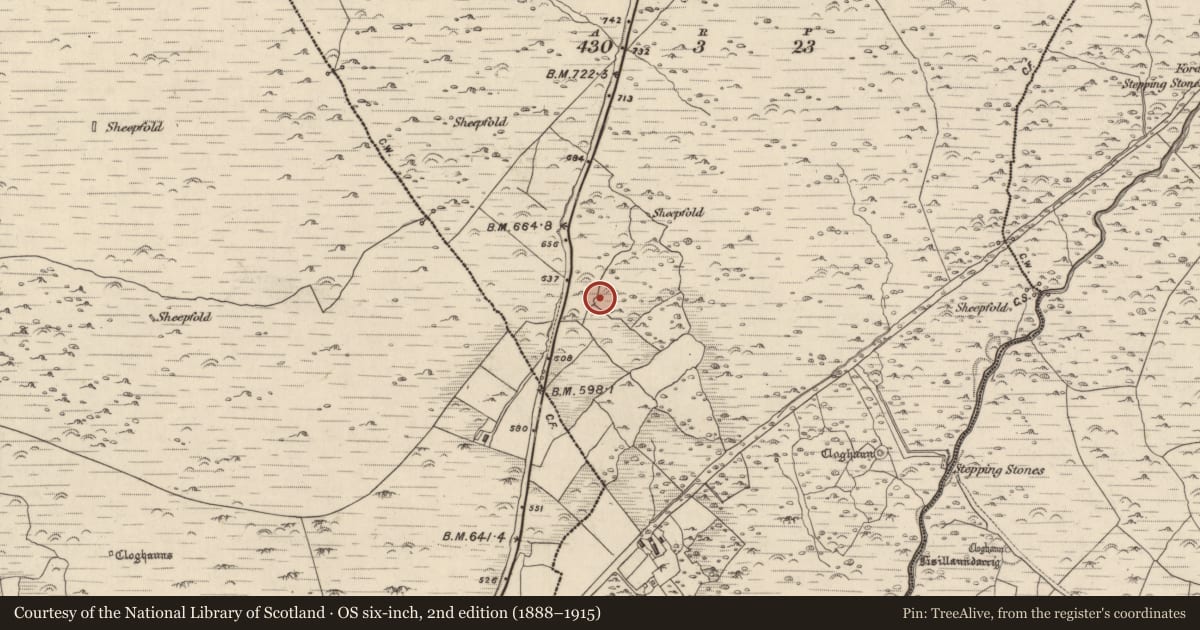 Ordnance Survey six-inch map, 2nd edition (1888–1915) covering the location of Hut site, Com An Bhúlaeraigh, County Kerry, with a pin at the register's coordinates