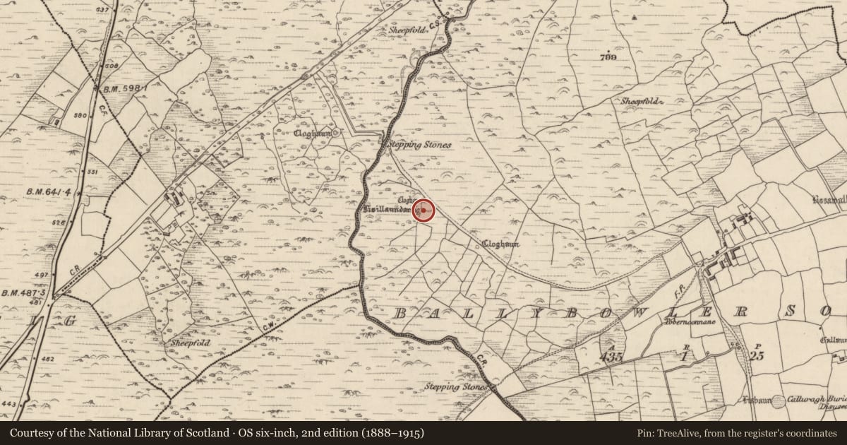 Ordnance Survey six-inch map, 2nd edition (1888–1915) covering the location of Ringfort - rath, Baile An Bhúlaeraigh Theas, County Kerry, with a pin at the register's coordinates