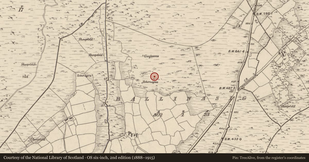 Ordnance Survey six-inch map, 2nd edition (1888–1915) covering the location of Hut site, Baile An Ásaigh, County Kerry, with a pin at the register's coordinates