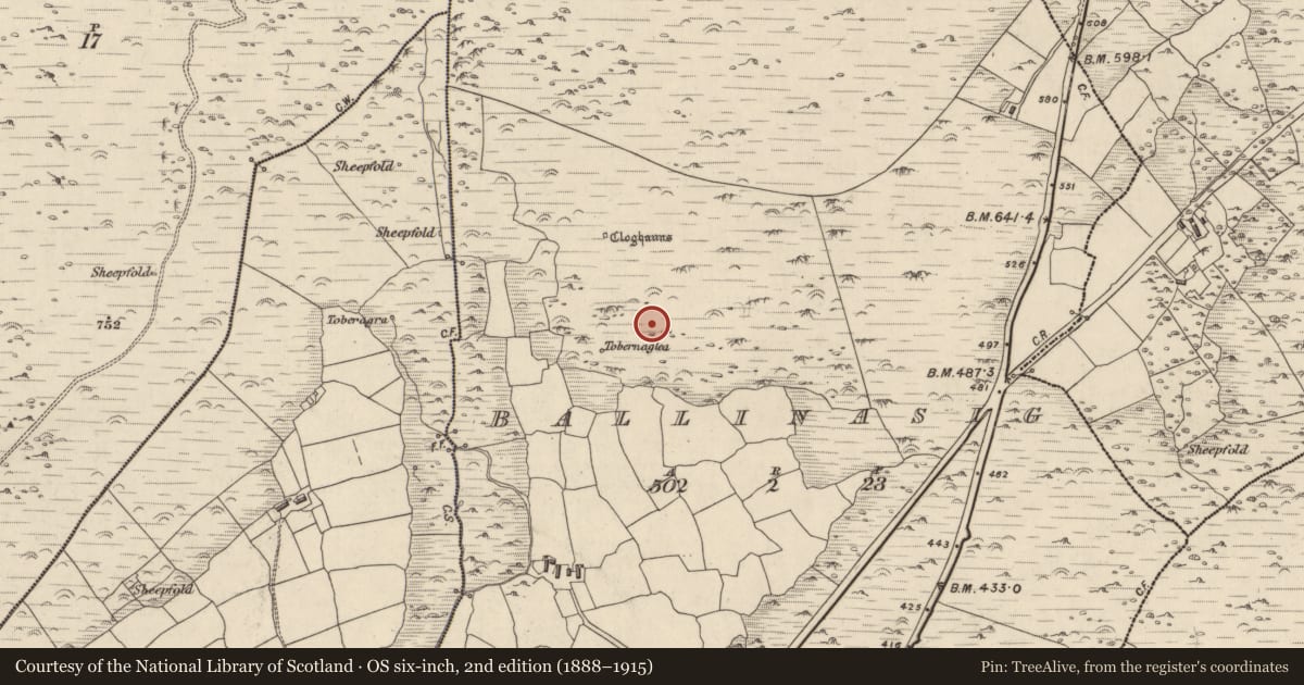 Ordnance Survey six-inch map, 2nd edition (1888–1915) covering the location of Hut site, Baile An Ásaigh, County Kerry, with a pin at the register's coordinates