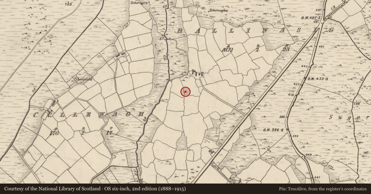 Ordnance Survey six-inch map, 2nd edition (1888–1915) covering the location of Souterrain, Baile An Ásaigh, County Kerry, with a pin at the register's coordinates