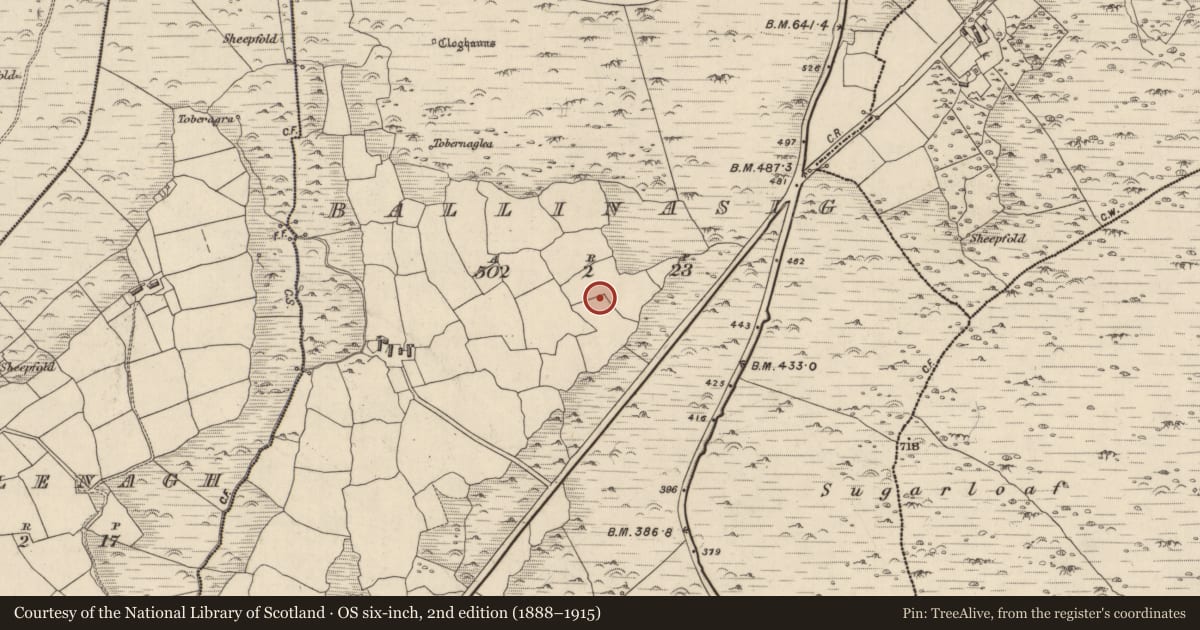 Ordnance Survey six-inch map, 2nd edition (1888–1915) covering the location of Ringfort - rath, Baile An Ásaigh, County Kerry, with a pin at the register's coordinates